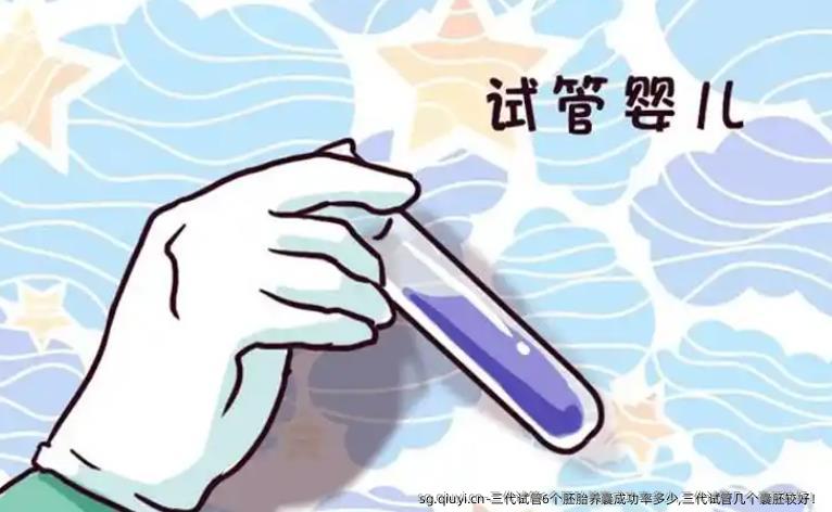 三代试管6个胚胎养囊成功率多少,三代试管几个囊胚较好！