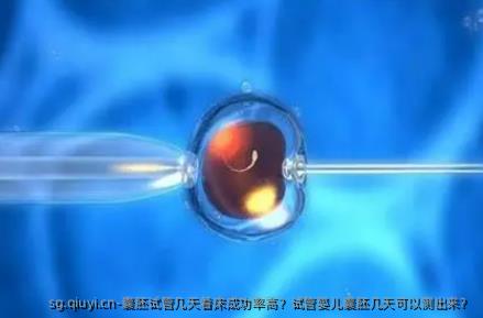 囊胚试管几天着床成功率高？试管婴儿囊胚几天可以测出来？