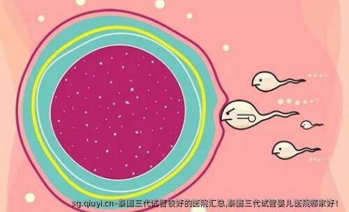泰国三代试管较好的医院汇总,泰国三代试管婴儿医院哪家好！