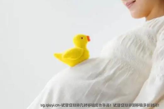 试管促排卵几时移植成功率高！试管促排卵到移植多长时间！