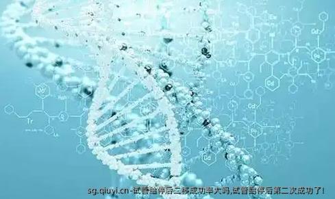 试管胎停后二移成功率大吗,试管胎停后第二次成功了！