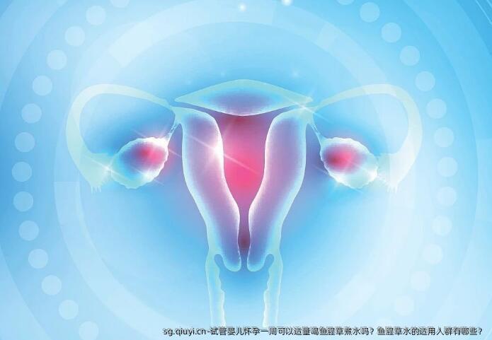 试管婴儿怀孕一周可以适量喝鱼腥草煮水吗？鱼腥草水的适用人群有哪些？
