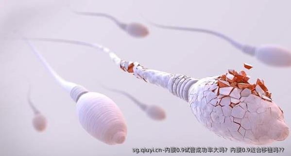 内膜0.9试管成功率大吗？内膜0.9适合移植吗?？