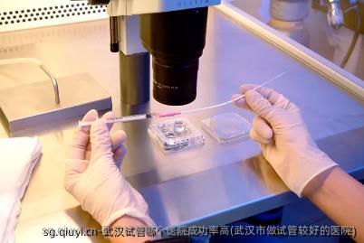 武汉试管哪个医院成功率高(武汉市做试管较好的医院)