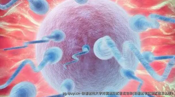 新疆医科大学附属医院试管成功率(新疆医学院做试管怎么样)