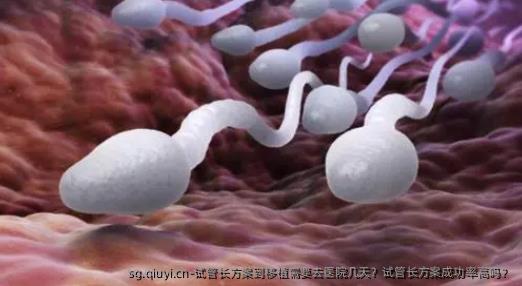 试管长方案到移植需要去医院几天？试管长方案成功率高吗？