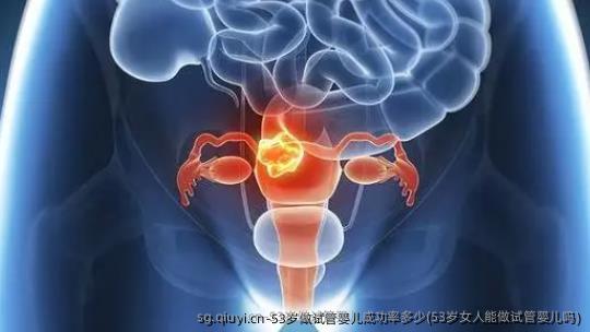 53岁做试管婴儿成功率多少(53岁女人能做试管婴儿吗)