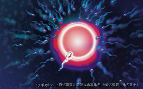 上海试管婴儿医院成功率排名 上海试管婴儿排名前十！