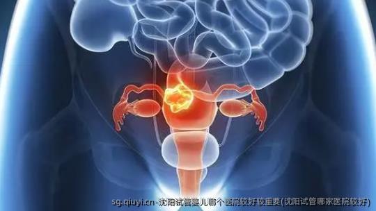 沈阳试管婴儿哪个医院较好较重要(沈阳试管哪家医院较好)