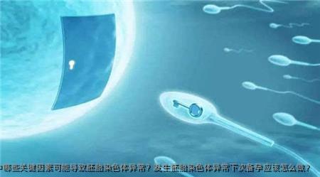 试管婴儿过程中哪些关键因素可能导致胚胎染色体异常？发生胚胎染色体异常下次备孕应该怎么做？