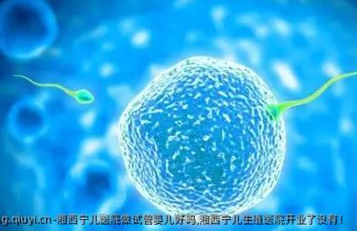 湘西宁儿医院做试管婴儿好吗,湘西宁儿生殖医院开业了没有！