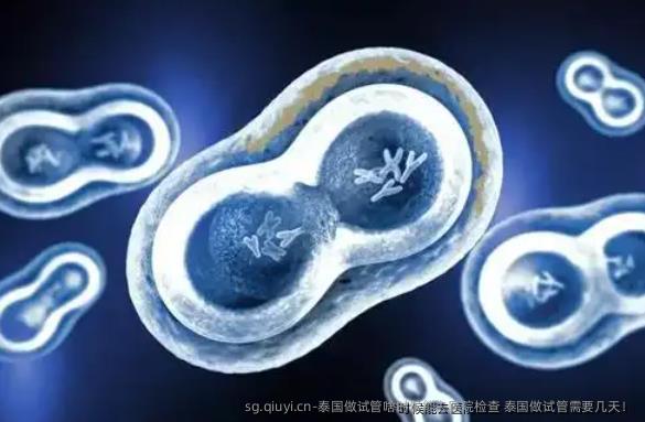 泰国做试管啥时候能去医院检查 泰国做试管需要几天！