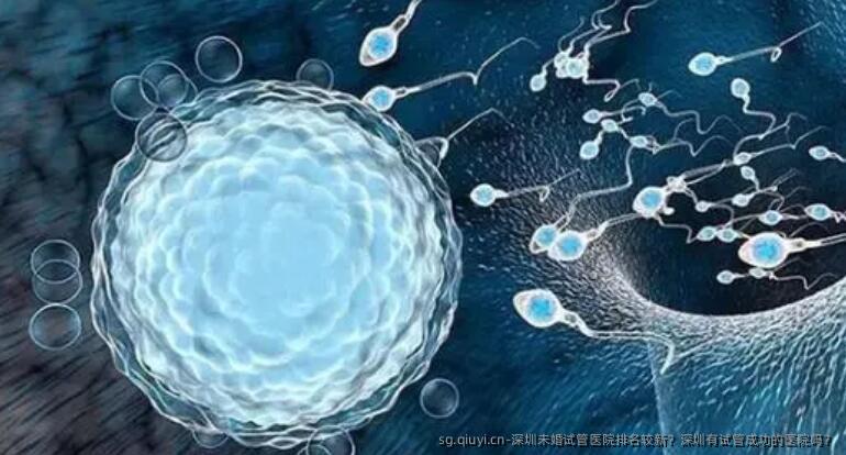 深圳未婚试管医院排名较新？深圳有试管成功的医院吗？