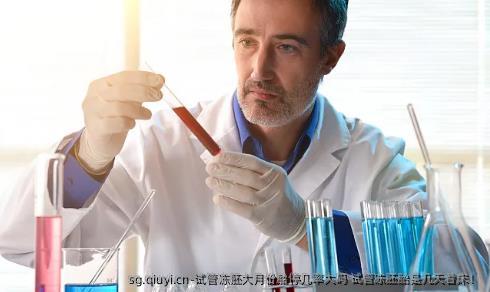 试管冻胚大月份胎停几率大吗 试管冻胚胎是几天着床！