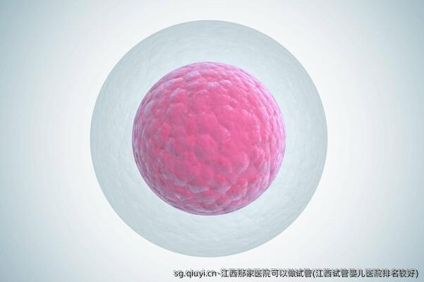 江西那家医院可以做试管(江西试管婴儿医院排名较好)