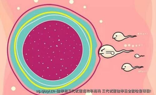 胎停育三代试管成功率高吗 三代试管胎停后全套检查项目！