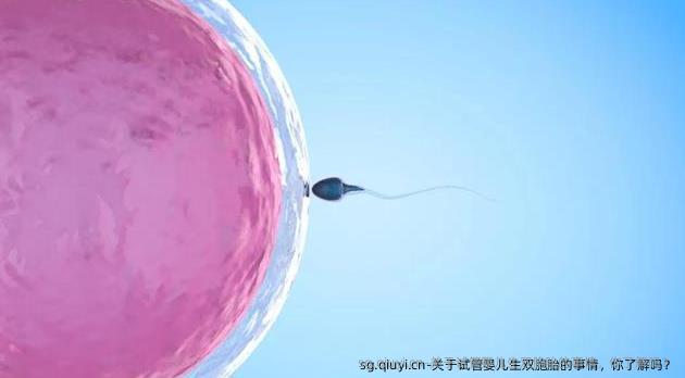 关于试管婴儿生双胞胎的事情，你了解吗？