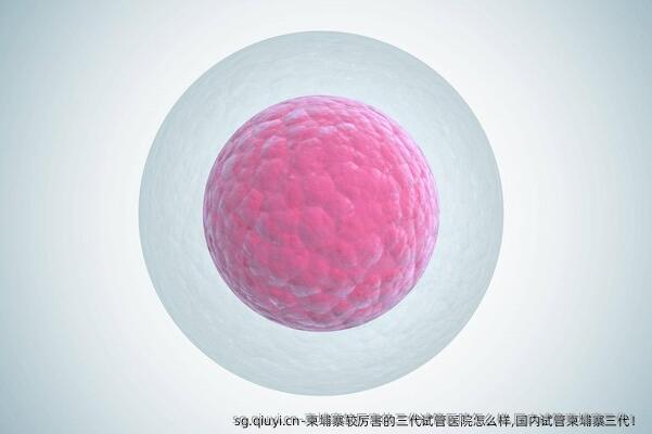 柬埔寨较厉害的三代试管医院怎么样,国内试管柬埔寨三代！