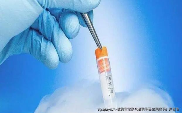 试管宝宝是从试管里面出来的吗？来看看