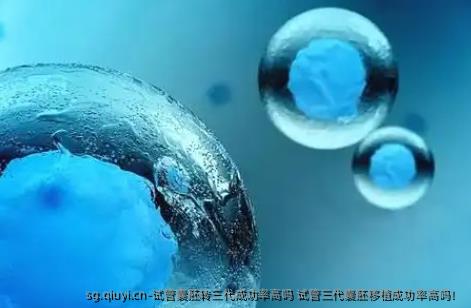 试管囊胚转三代成功率高吗 试管三代囊胚移植成功率高吗！