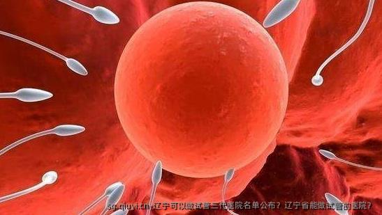 辽宁可以做试管三代医院名单公布？辽宁省能做试管的医院？