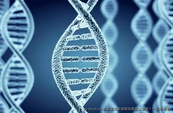 试管婴儿降调期间要怎么做呢？一起来看看