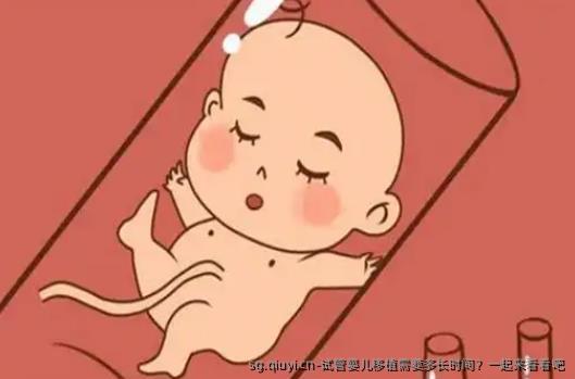 试管婴儿移植需要多长时间？一起来看看吧