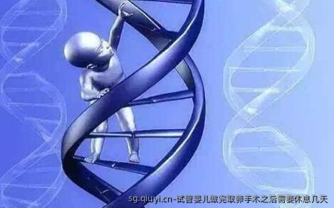 试管婴儿做完卵泡取出手术之后需要休息几天