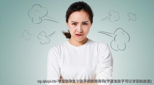 宁夏助孕生个孩子的费用贵吗(宁夏生孩子可以享受的政策)