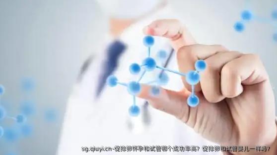 促排卵怀孕和试管哪个成功率高？促排卵和试管婴儿一样吗？