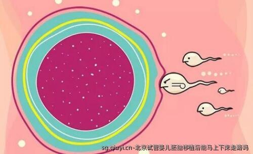 北京试管婴儿胚胎移植后能马上下床走路吗