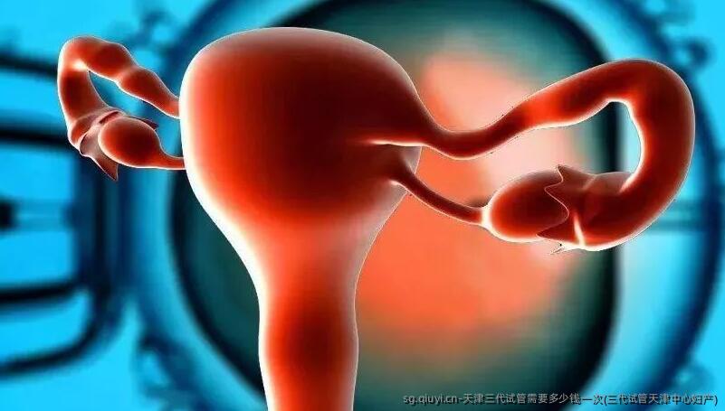 天津三代试管需要多少钱一次(三代试管天津中心妇产)