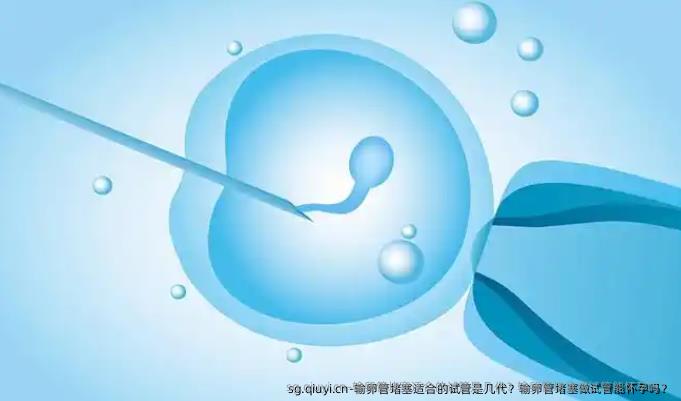 输卵管堵塞适合的试管是几特需管堵塞做试管能怀孕吗？