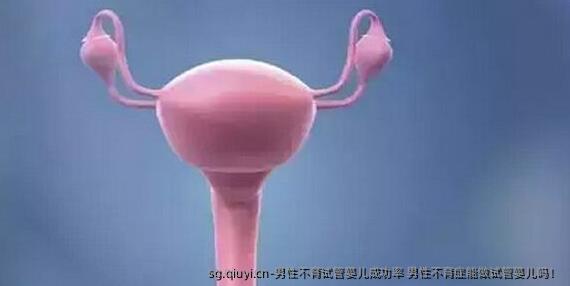 男性不育试管婴儿成功率 男性不育症能做试管婴儿吗！