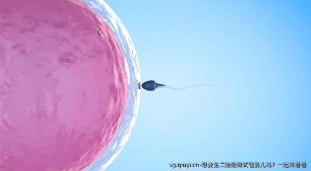 想要生二胎能做试管婴儿吗？一起来看看