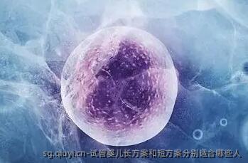 试管婴儿长方案和短方案分别适合哪些人