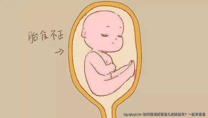 如何提高试管婴儿的妊娠率？一起来看看