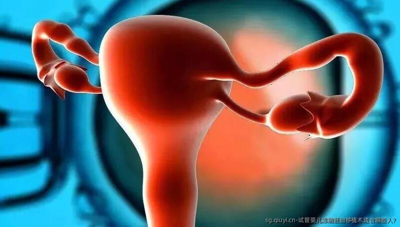 试管婴儿冻融胚胎移植术适合哪些人?