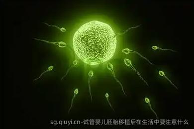 试管婴儿胚胎移植后在生活中要注意什么
