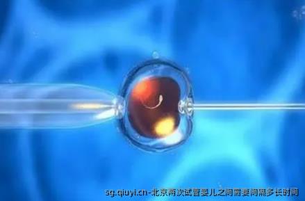 北京两次试管婴儿之间需要间隔多长时间