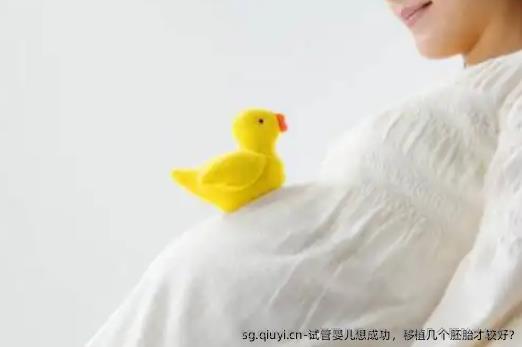 试管婴儿想成功，移植几个胚胎才较好?
