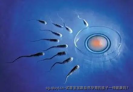 试管宝宝跟自然孕育的孩子一样健康吗？