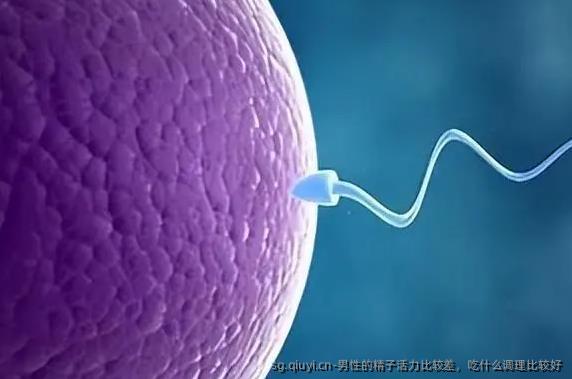 男性的精子活力比较差，吃什么调理比较好