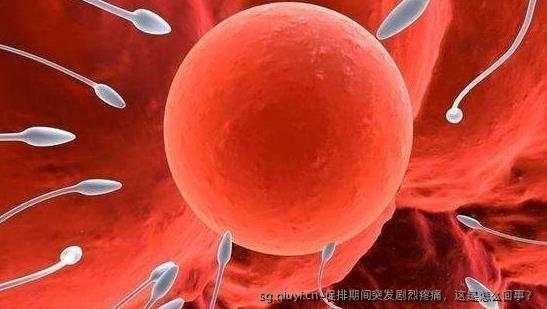促排期间突发剧烈疼痛，这是怎么回事？