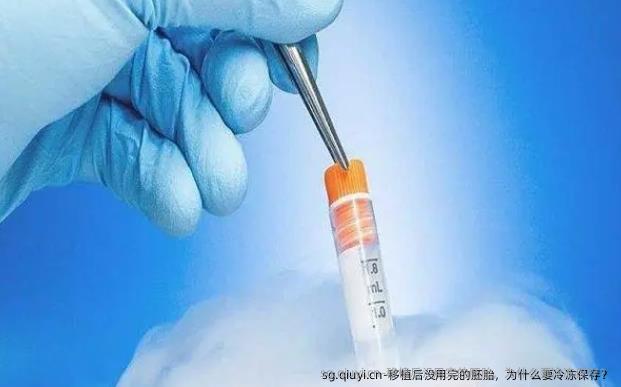 移植后没用完的胚胎，为什么要冷冻保存？