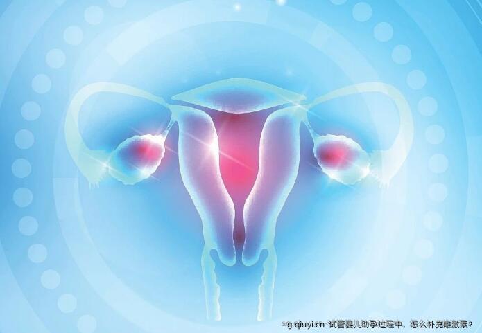试管婴儿助孕过程中，怎么补充雌激素？