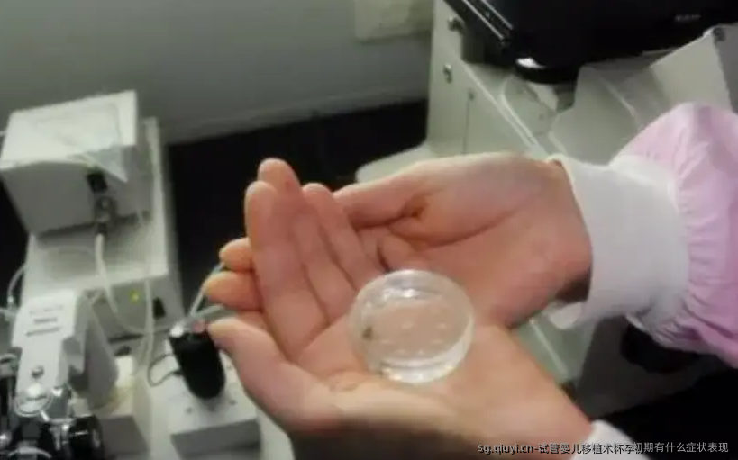 试管婴儿移植术怀孕初期有什么症状表现