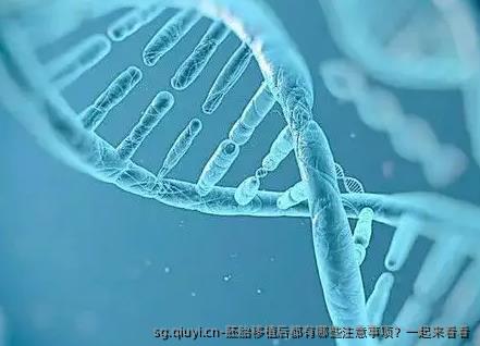 胚胎移植后都有哪些注意事项？一起来看看