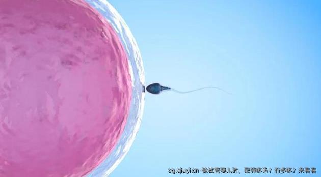 做试管婴儿时，卵泡取出疼吗？有多疼？来看看