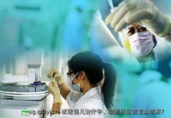 试管婴儿治疗中，卵泡取出后应该怎么做呢？